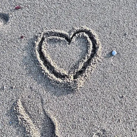 Les Inclusifs D'omaoma Saint-Jouin-Bruneval