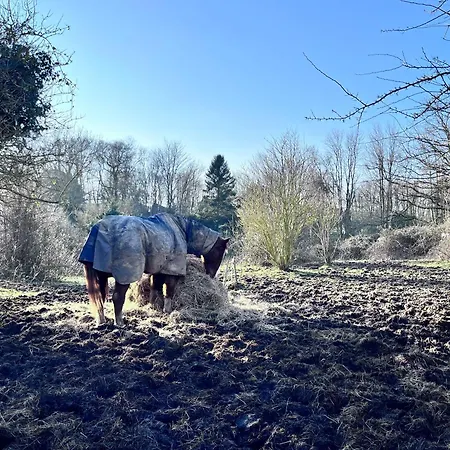 Les Inclusifs D'omaoma Saint-Jouin-Bruneval