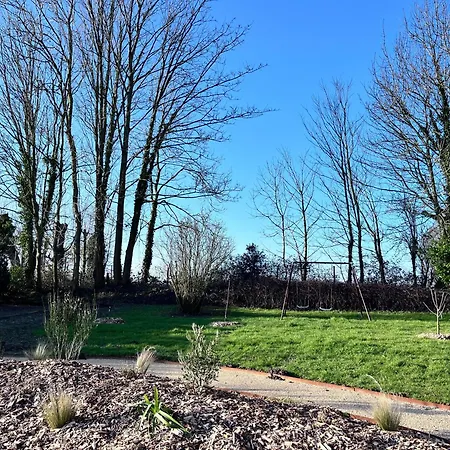 Les Inclusifs D'omaoma *